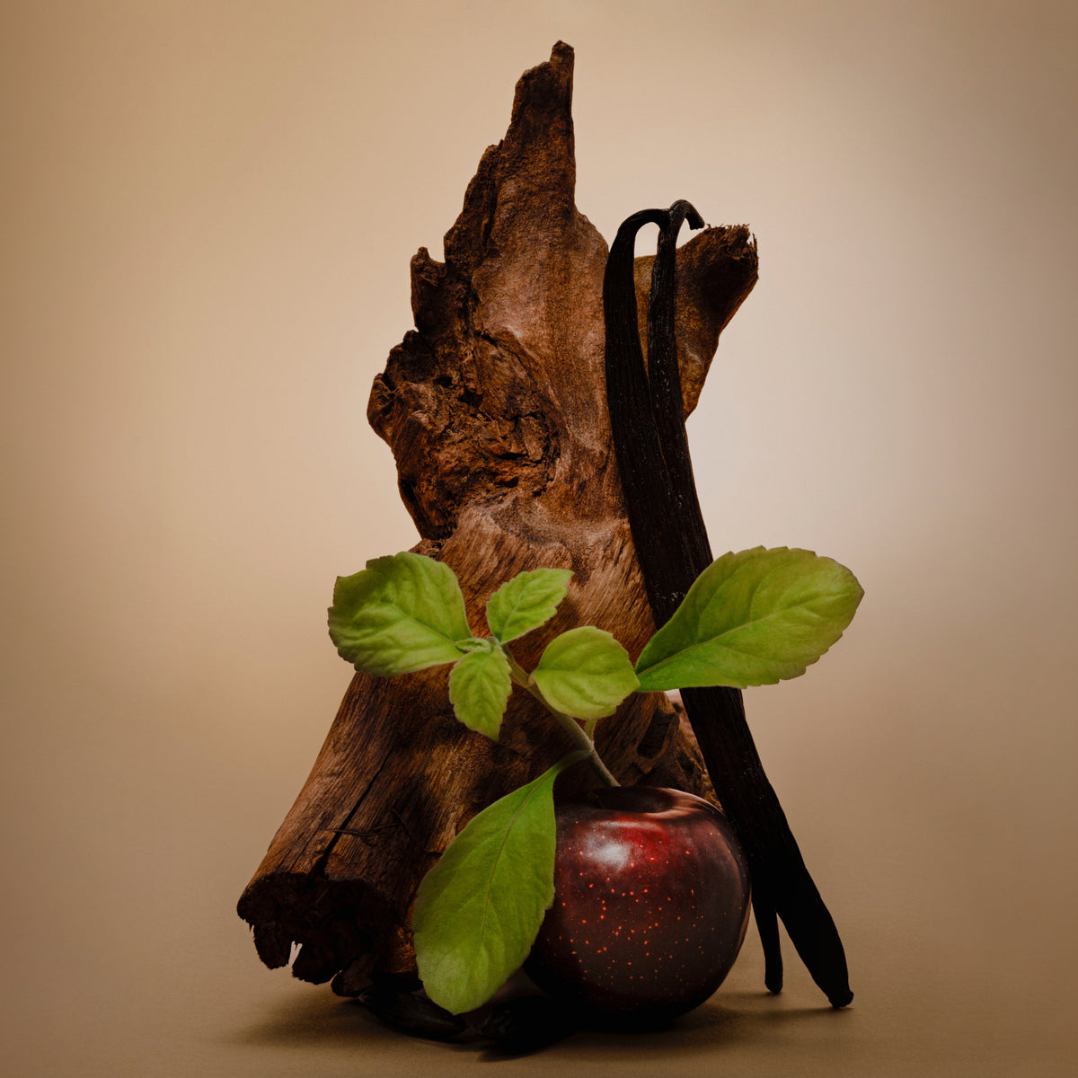 Vanilla Canyon - 50mL - image 3