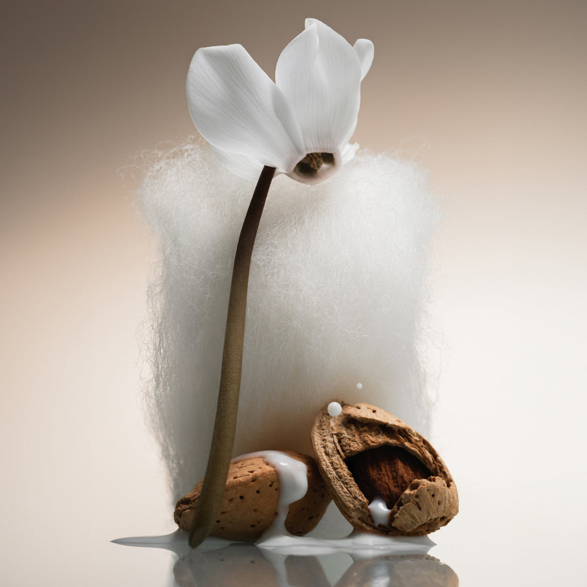 Cashmere Skin - Body Mist - image 4
