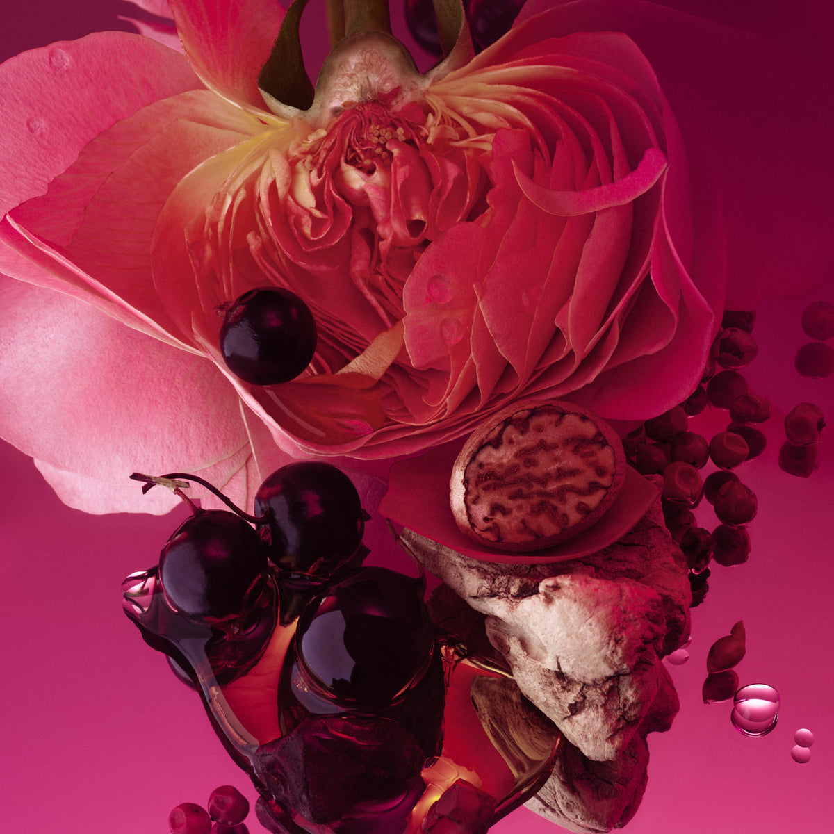Rose Whip - 50mL - image 3