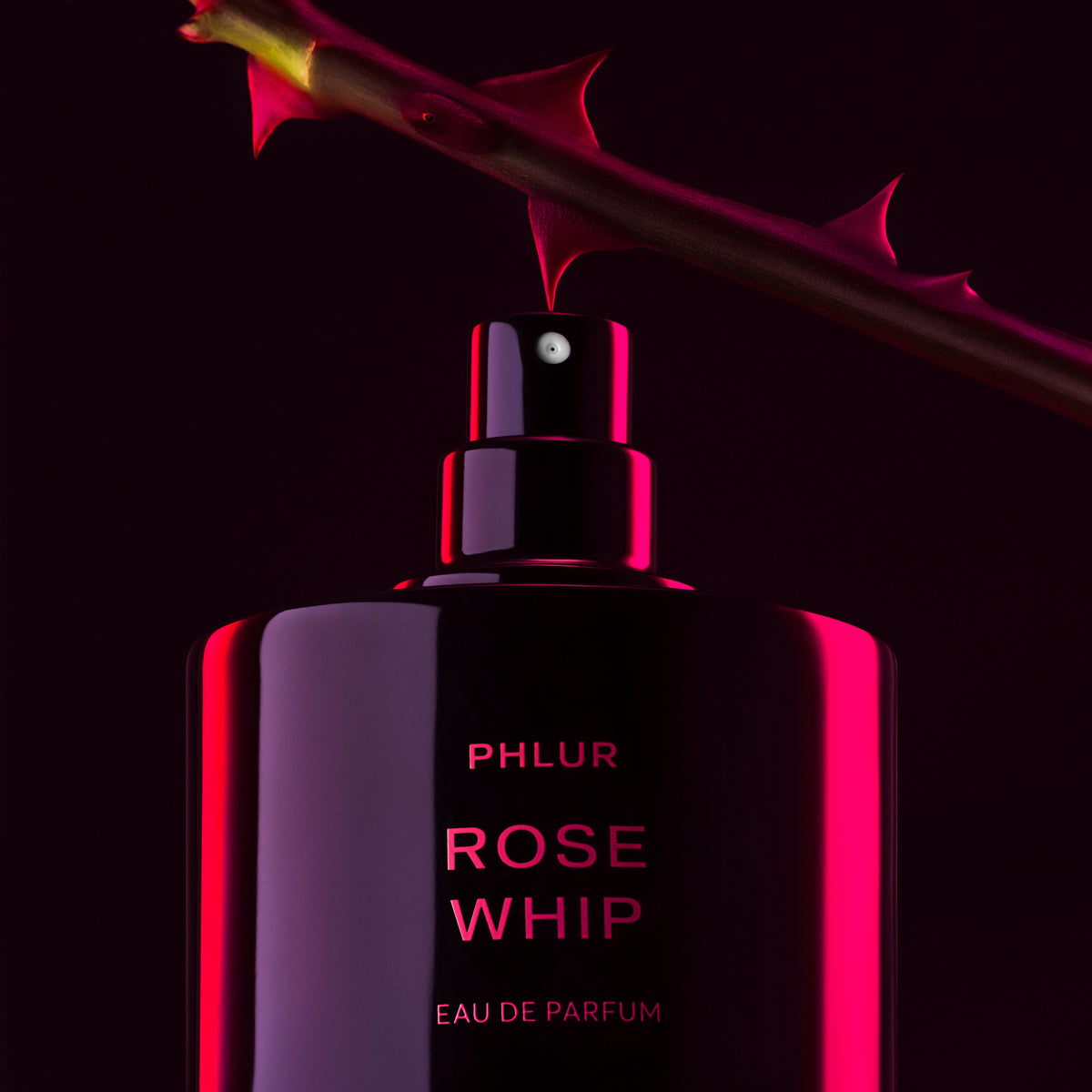 Rose Whip - 50mL - image 6