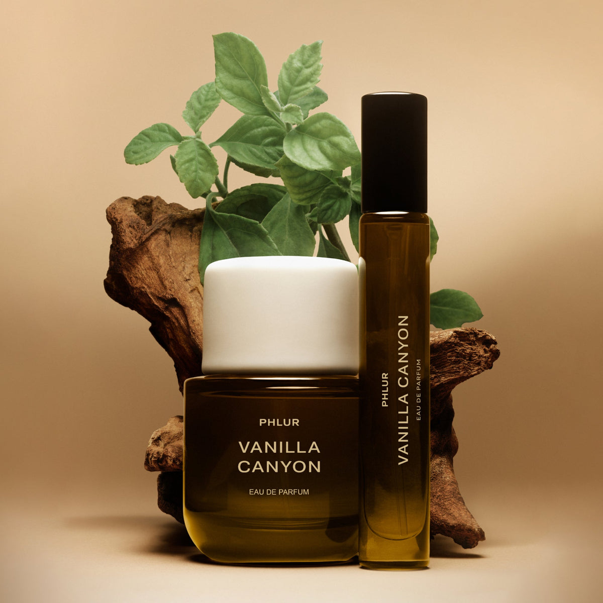 Vanilla Canyon - Fragrance Duet - image 2