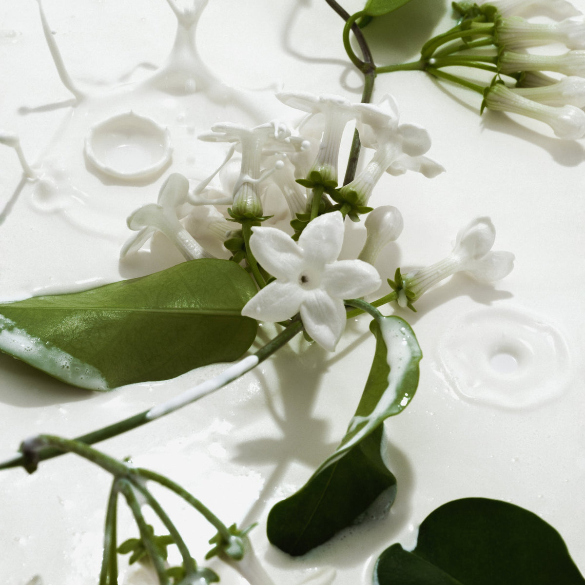 Vanilla & Cream - Body Mist Duo - image 7