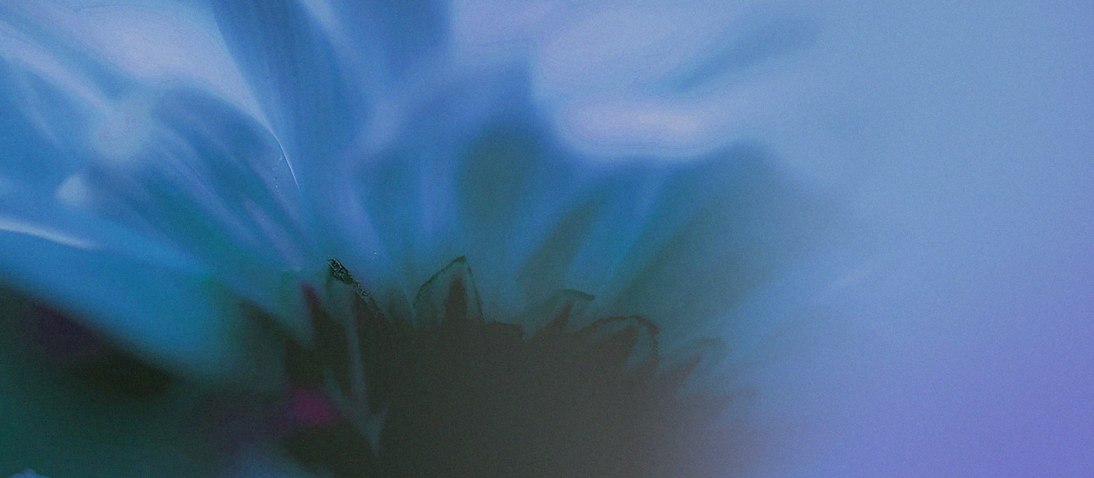 PHLUR CREATES SCENTS FOR THE PRESENT TENSE.